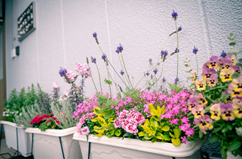 オフィスイメージ03